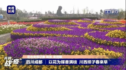 广州前沿花卉,广州前沿花卉市场